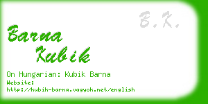 barna kubik business card